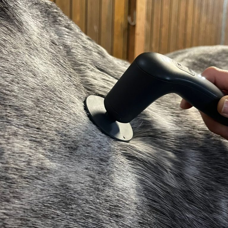 Nova Phone Therapie Schallwellen Therapie an einem Pferd.